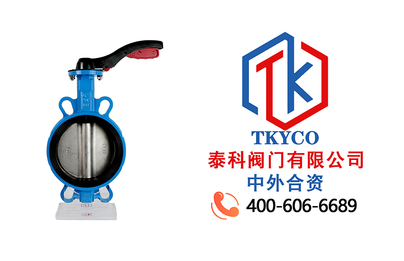 1688525105.jpg 對夾式蝶閥拼圖.jpg