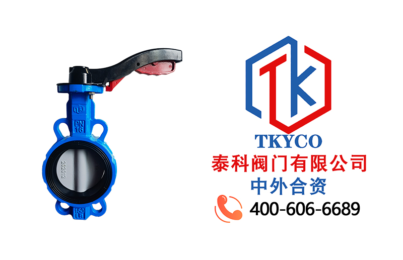 1691550461.jpg 對(duì)夾式蝶閥拼圖.jpg