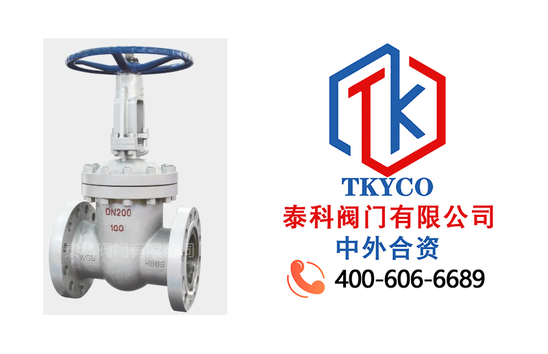 1708999662.jpg 鑄鋼楔式閘閥拼圖.jpg