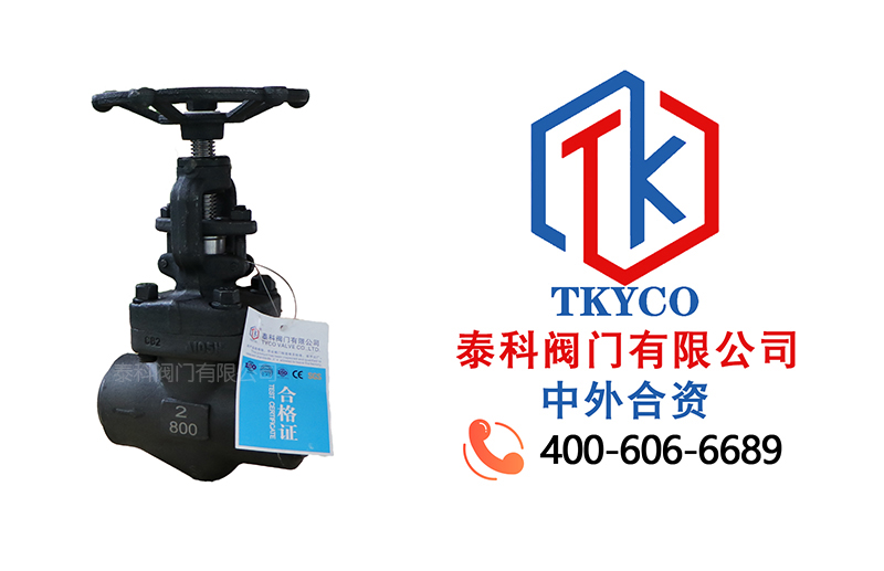 1740451147.jpg 對(duì)焊截止閥拼圖.jpg