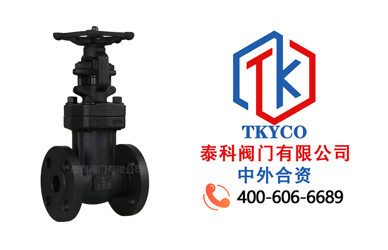 1747704206566836.jpg WCB鍛鋼波紋管截止閥拼圖.jpg