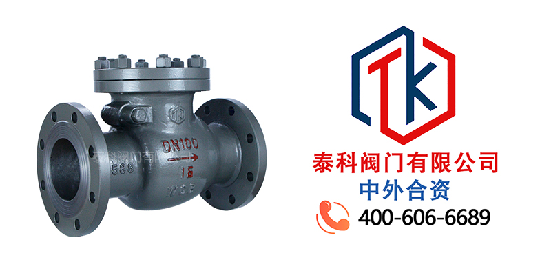 1758677452927376.jpg 旋啟式止回閥拼圖尼必可.jpg